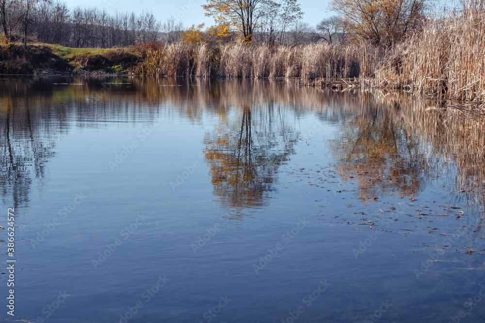 Abstract autumn landscape with reflection in the lake, with trees and dry reeds, the concept of ecology, travel, weekends, with a soft selective focus of blur and noise