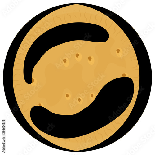 
A cookie icon in chocolate and vanilla flavor cream topping 
