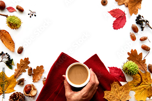 Autumn frame made of dried leaves, pine cones, berries, acorns, warm scarf and hand with cup of coffee on white background. Template mockup fall, halloween. Flat lay, copy space background