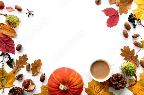 Autumn composition. Frame made of dried leaves, pumpkin, pine cones, berries, chestnuts and acorns isolated on white background. Template mockup fall, halloween. Flat lay, copy space background