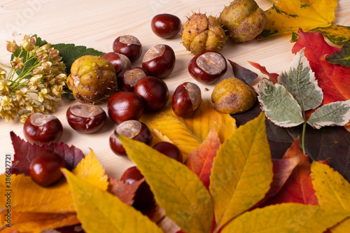 autumn leaves on the wooden surface as a autumnal decor concept 