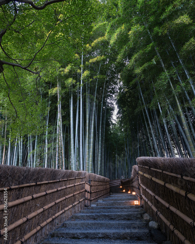 Fototapeta Naklejka Na Ścianę i Meble -  Adashino Nenbutsuji Temple - Kyoto- Japan