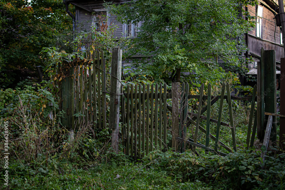 Old rickety wooden fence made in front of village house among autumn trees with foliage and green dense grass. Russian abandoned building