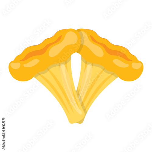 

A flower shaped yellow colored vegetable and type of fungi representing chanterelle 
