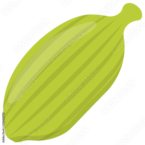 
A green leafy vegetable with bitter leaves called endive 
