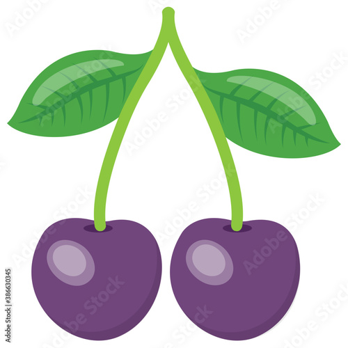 
Berry like fruit in purple color having mix taste of cherry and plum called cherry plum 
