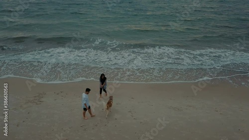 young happy couple having fun with husky dog on beach