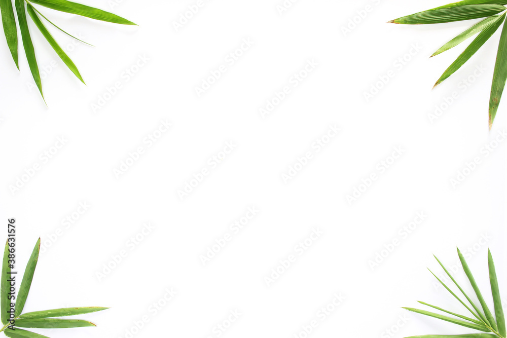 bamboo frame isolated on white