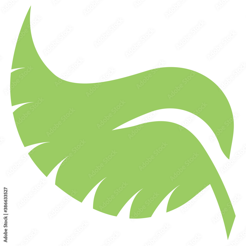 Obraz premium A leaf with compound structure is ash leaf 