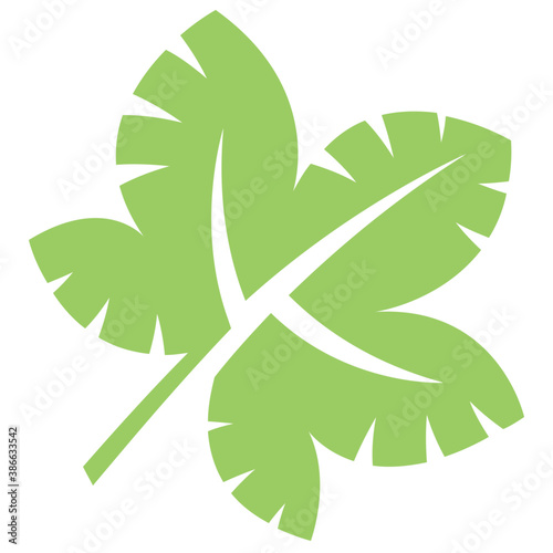 
A floral leaf with margin teeths and veins commemorating grapes leaf
