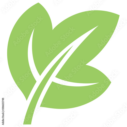 
A floral leaf with margin teeths and veins commemorating grapes leaf

