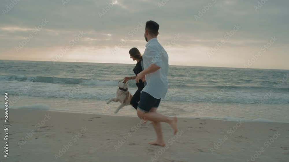 young happy couple having fun with husky dog on beach