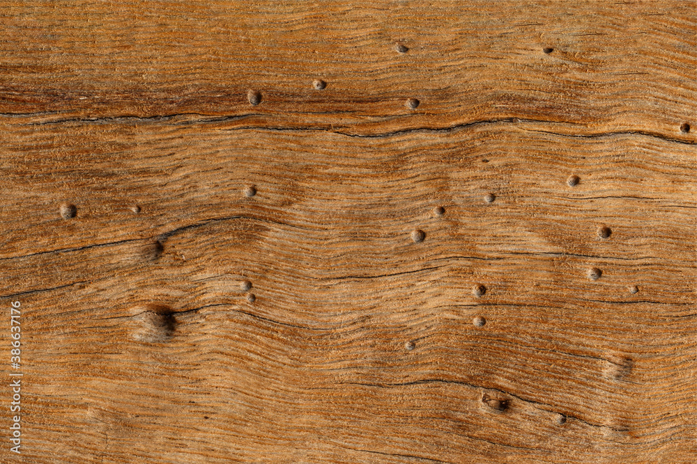 Naklejka premium Brown wood texture natural background