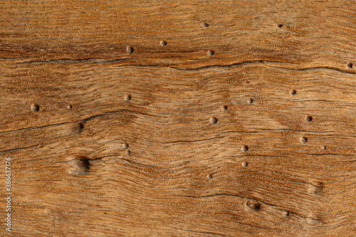 Brown wood texture natural background