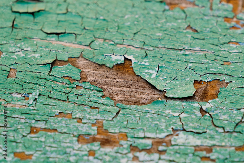 Old green board with cracks. Selective focus.