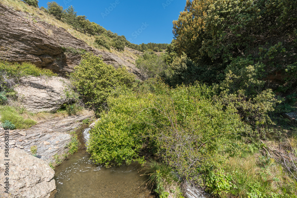 Water flowing down a ravine in the Sierra Nevada