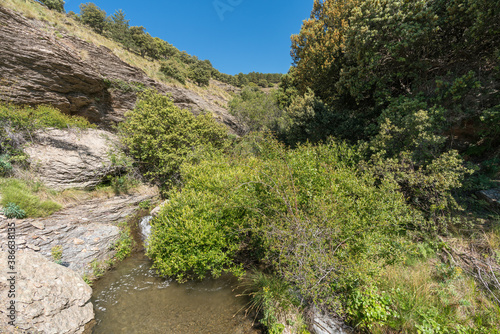 Water flowing down a ravine in the Sierra Nevada