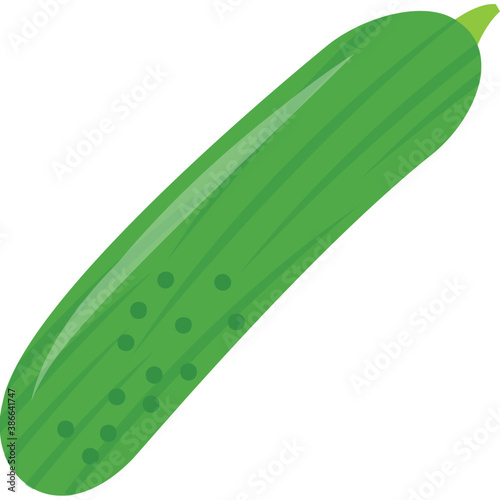 
A  long green juicy vegetable giving an idea of bottle gourd 
