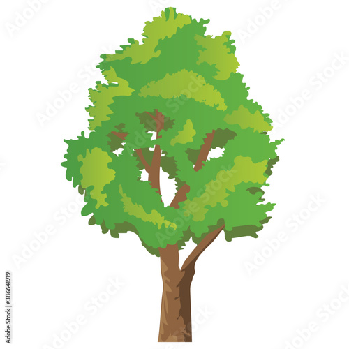  Sunny basswood tree or odorless  