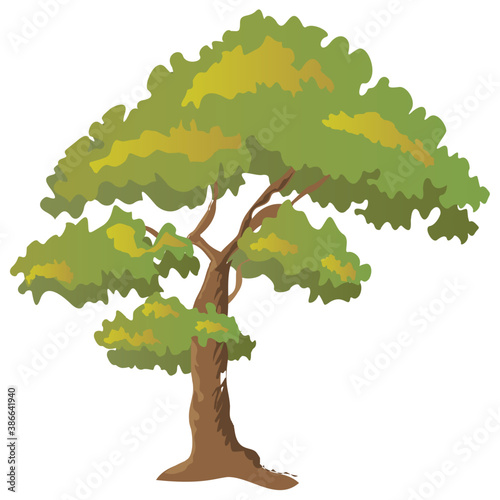 
Chestnut tree, spreading trees flat icon
