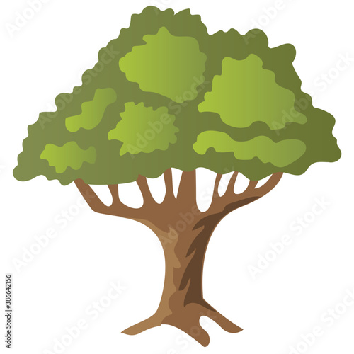 
Chestnut tree, spreading trees flat icon
