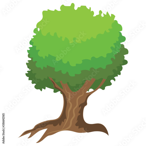 
Chestnut tree, spreading trees flat icon
