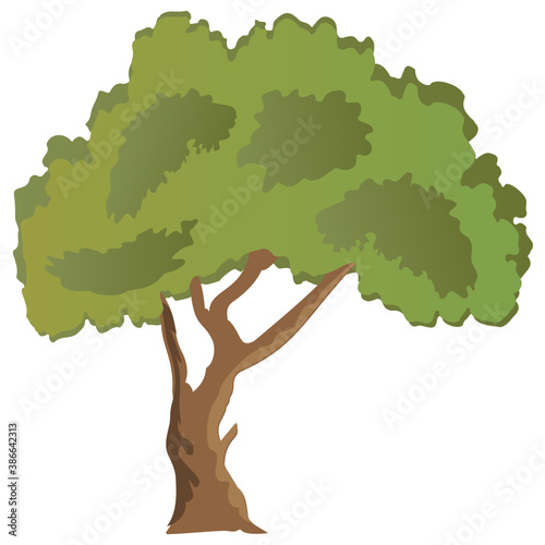 
Chestnut tree, spreading trees flat icon
