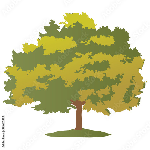 
Chestnut tree, spreading trees flat icon
