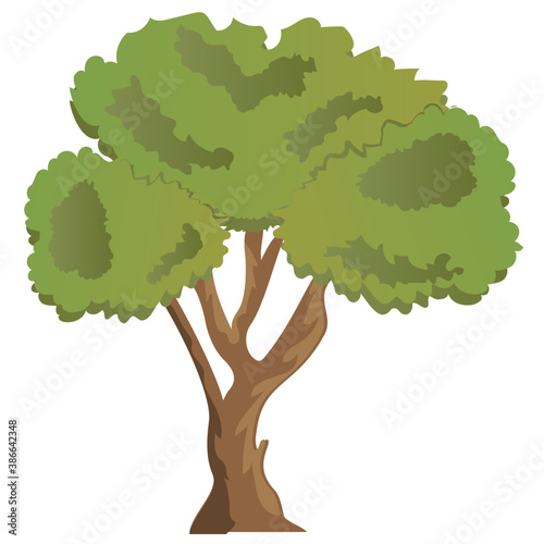 
Chestnut tree, spreading trees flat icon
