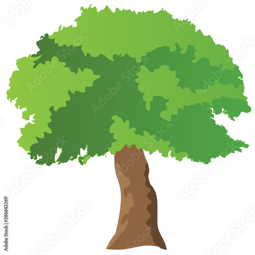 
Chestnut tree, spreading trees flat icon
