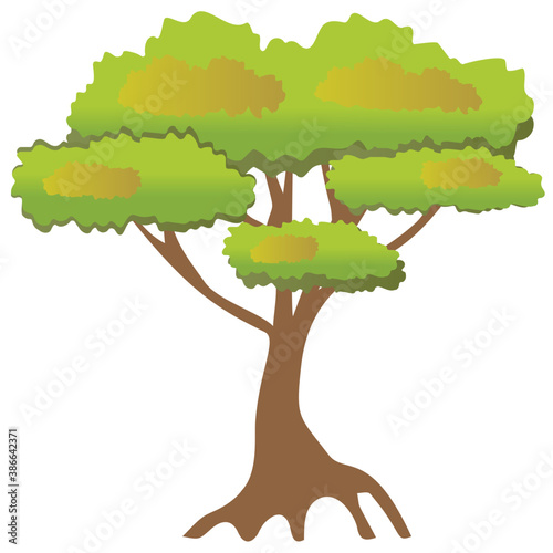
A simple flat icon design of umbrella pine tree
 photo
