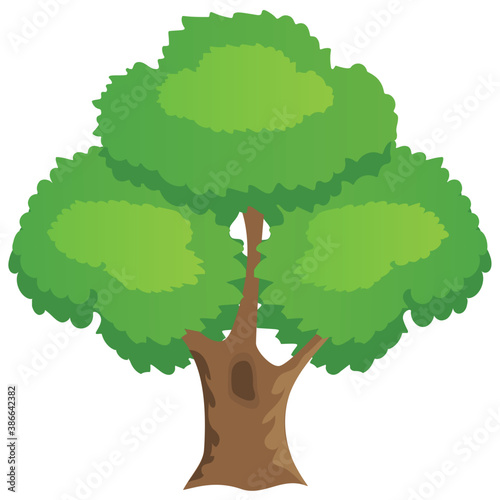 
Chestnut tree, spreading trees flat icon

