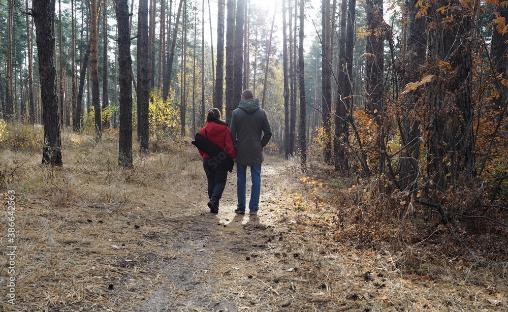 Young people are walking in the autumn forest, holding hands. Autumn leaf fall. Young people are walking in the autumn forest, holding hands. Autumn leaf fall.
