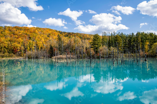 Autmn Leaves at Blue Lake in Biei, Hokkaido © takawildcats