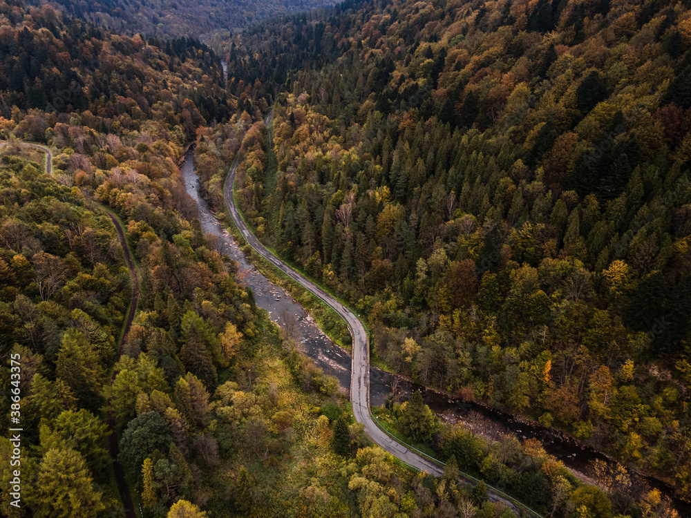 Aerial Drone View of Stream and Road Winding Trough Autumnal Forest Aerial Drone View of Stream and Road Winding Trough Autumnal Forest