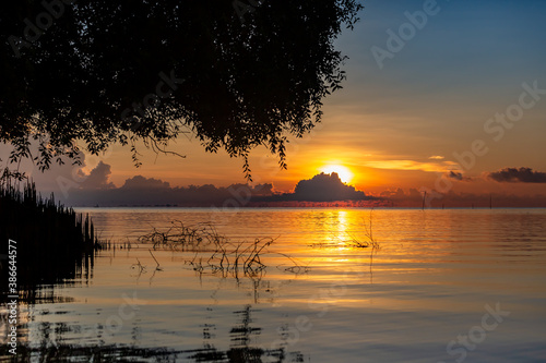 Alone tree on thailand Lake during sunset