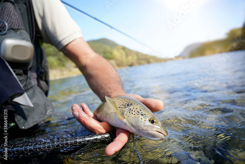 Fototapeta Naklejka Na Ścianę i Meble -  fly fisherman in summer catching a rainbow trout fishing in a mountain river
