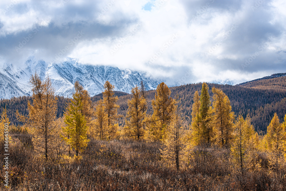 panoramic view of picturesque snowy mountains tops on blue sky background