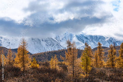 panoramic view of picturesque snowy mountains tops