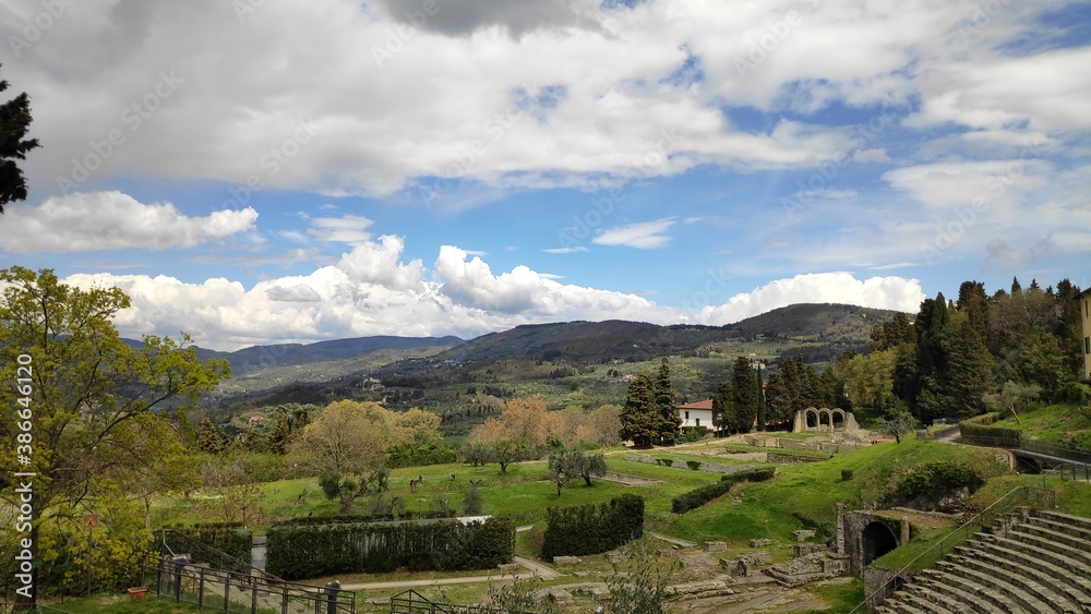 Naklejka premium landscape in the summer