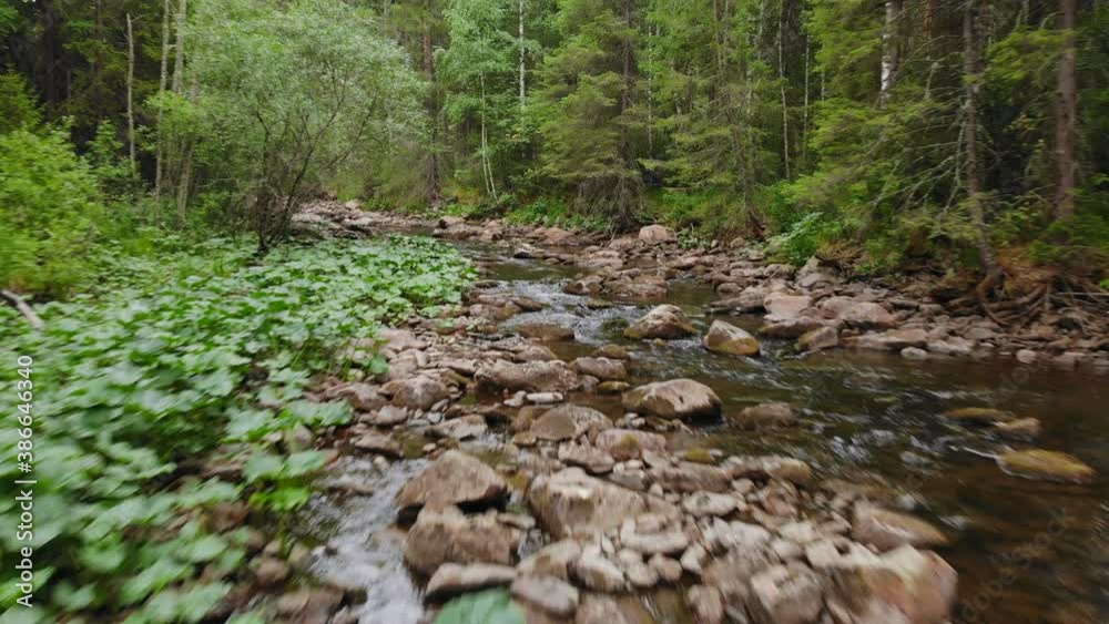 Forest river of the southern Urals in Russia. Forest river of the southern Urals in Russia.