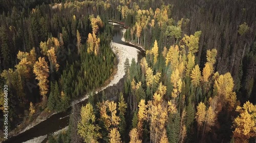Tilt up from Similkameen river in the autumn forest to forested mountains. photo