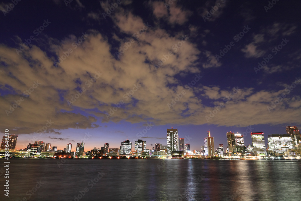 Fototapeta premium 東京港ビル群夜景パノラマ
