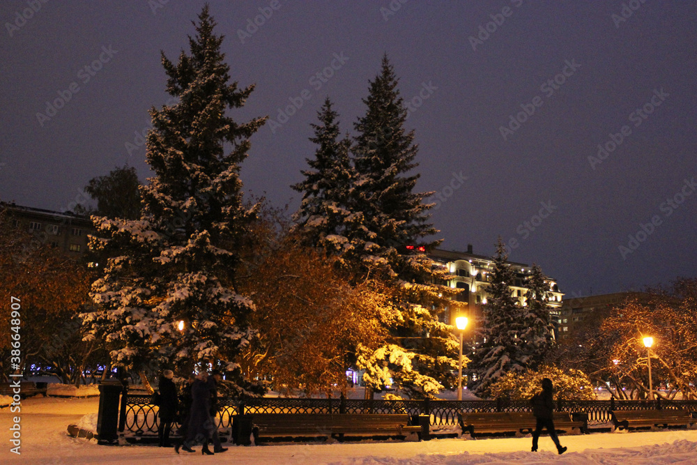 Fototapeta premium Snow snowy city, Winter, snowdrifts on the roads, snow-covered Christmas trees, buildings in the city