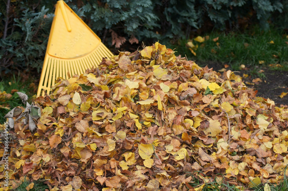 Herbstlaub zusammengefegt auf einem Haufen