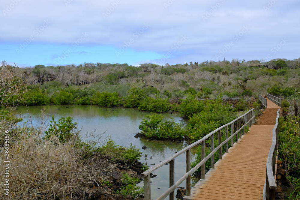 Ecuador Galapagos Islands - Santa Cruz Island Hiking path Camino a las grietas