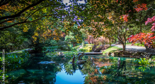 Obraz na płótnie Fall in the Gardens w salonie
