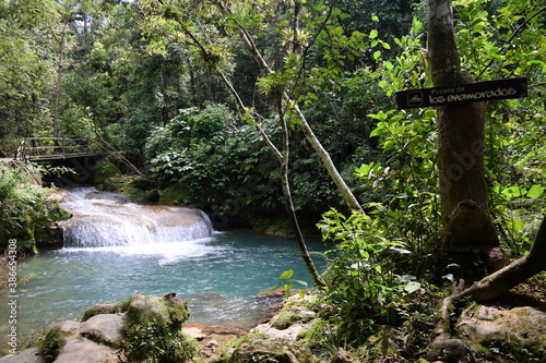 El nicho national park beautiful waterfalls in Cuba America photo
