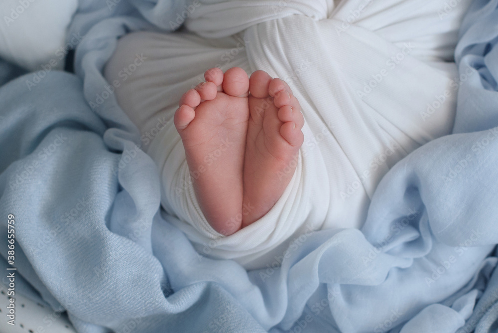 Newborn Baby's feet. newborn baby legs,legs massage
Newborn Baby's feet. newborn baby legs,legs massage