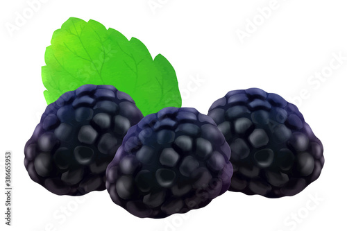 ブラックベリー